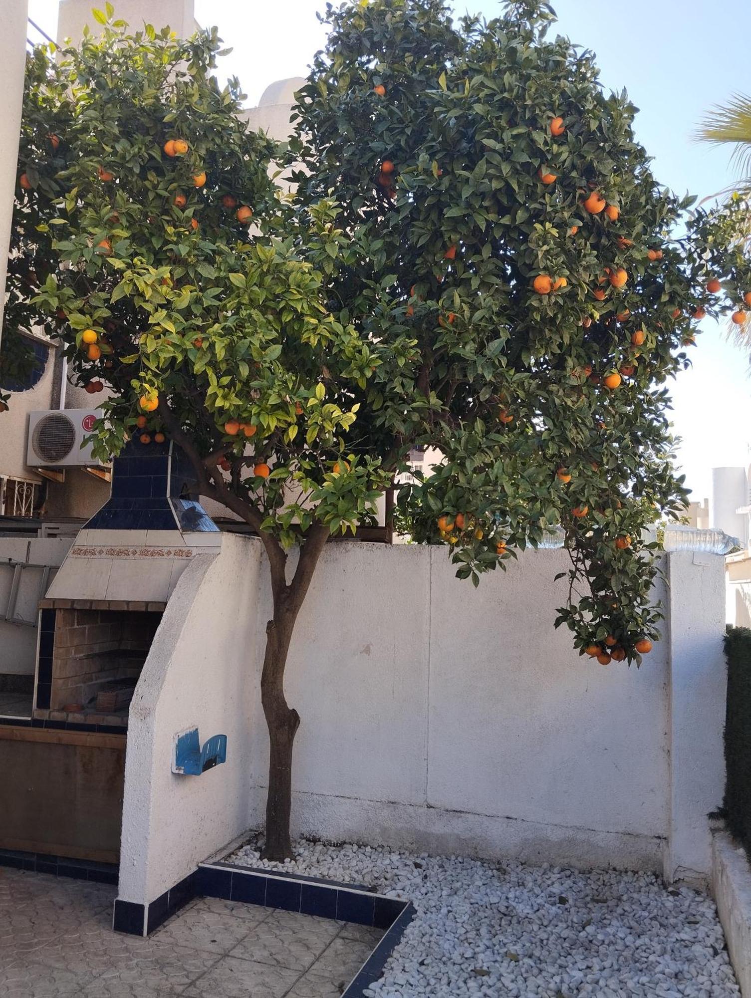 Z&R - Alcyone Villa تورّيفيِخا المظهر الخارجي الصورة
