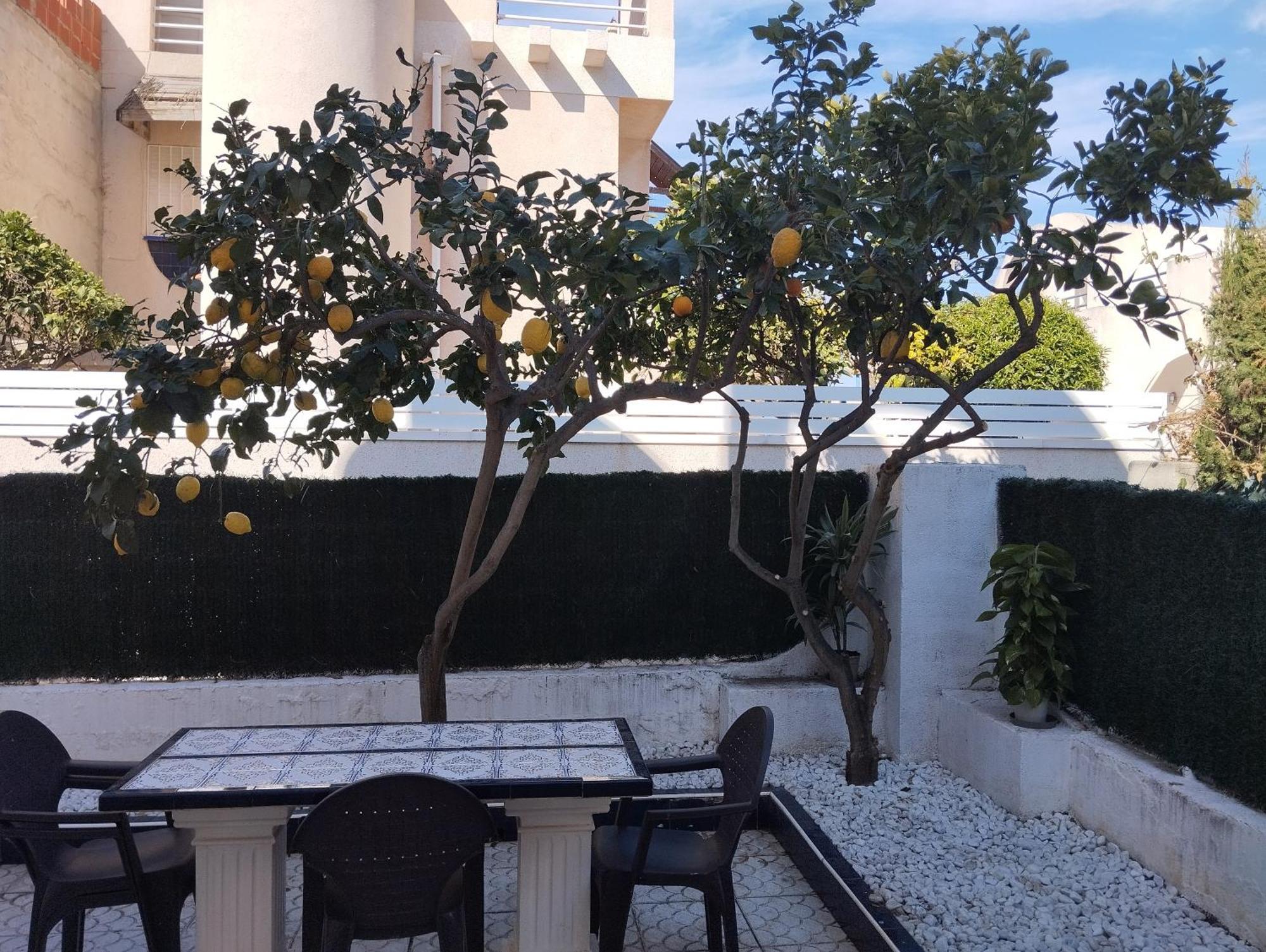 Z&R - Alcyone Villa تورّيفيِخا المظهر الخارجي الصورة